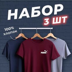 Футболка мужская 3 шт (разного цвета)