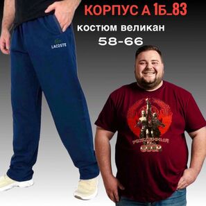 Костюм спортивный мужской