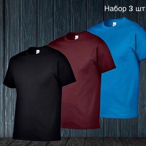 Футболка мужская 3шт (без выбора цвета)