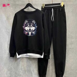 Костюм спортивный мужской