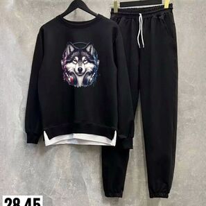 Костюм спортивный мужской