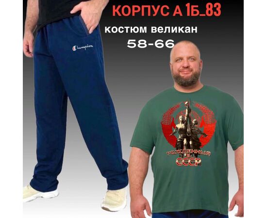 Костюм спортивный мужской, код 2513908