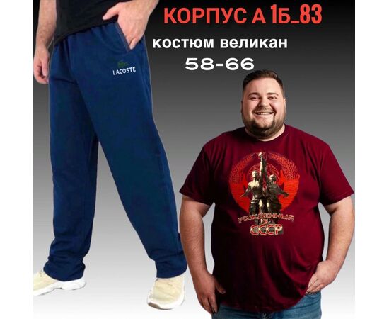 Костюм спортивный мужской, код 2513910