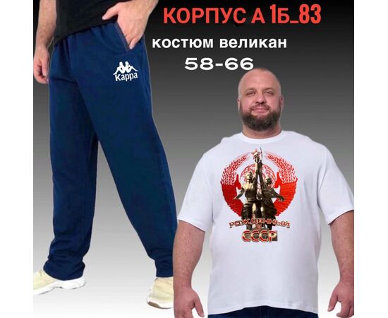 Костюм спортивный мужской, код 2513911