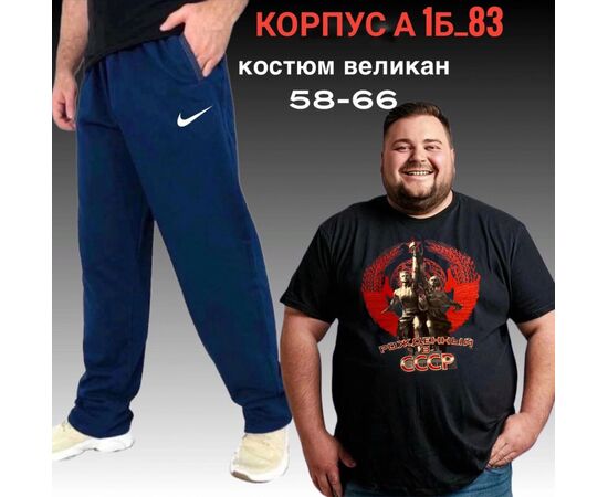 Костюм спортивный мужской, код 2513912