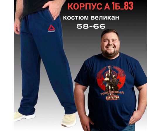 Костюм спортивный мужской, код 2513913
