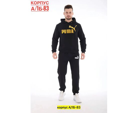 Костюм спортивный мужской (без выбора цвета), код 2513933