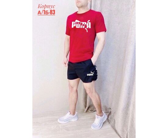 Костюм спортивный мужской (без выбора цвета), код 4809606