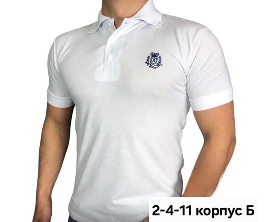 Футболка поло мужская (без выбора цвета), код 50299472