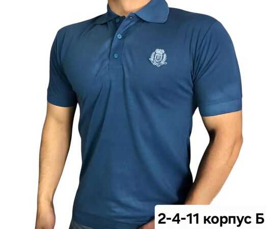 Футболка поло мужская (без выбора цвета), код 50299479
