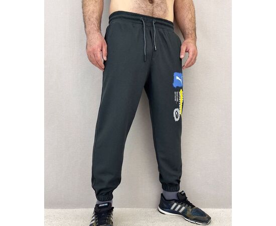 Брюки спортивные мужские (без выбора цвета), код 50299632