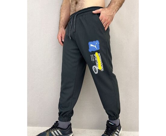 Брюки спортивные мужские (без выбора цвета), код 50299695